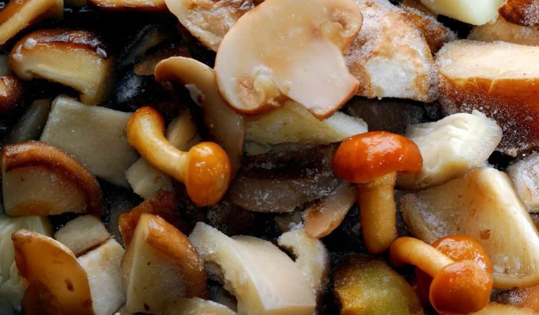 Jak obgotować grzyby do mrożenia, aby zachować ich smak i świeżość